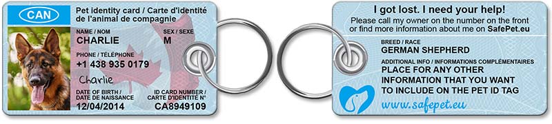 Standard Pet ID Tag - front and back view