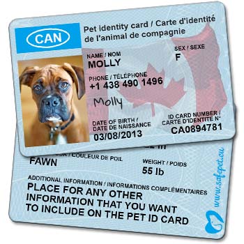 SafePet Personalized Wallet ID Card for dog and cat owners
