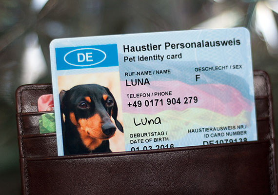 SafePet Tierperso für Hunde und Katzen