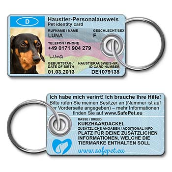 Hunde haben Spaß