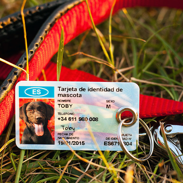 SafePet Personalized Pet ID Tag for dogs and cats