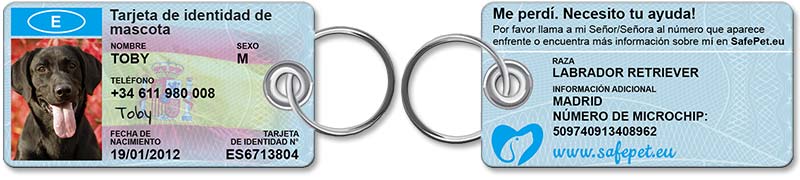 Standard Pet ID Tag - front and back view