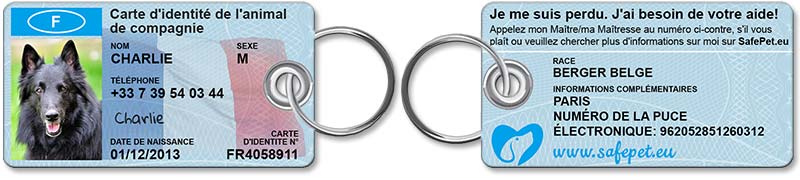 Standard Pet ID Tag - front and back view