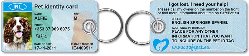 Standard Pet ID Tag - front and back view