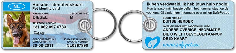 Standard Pet ID Tag - front and back view