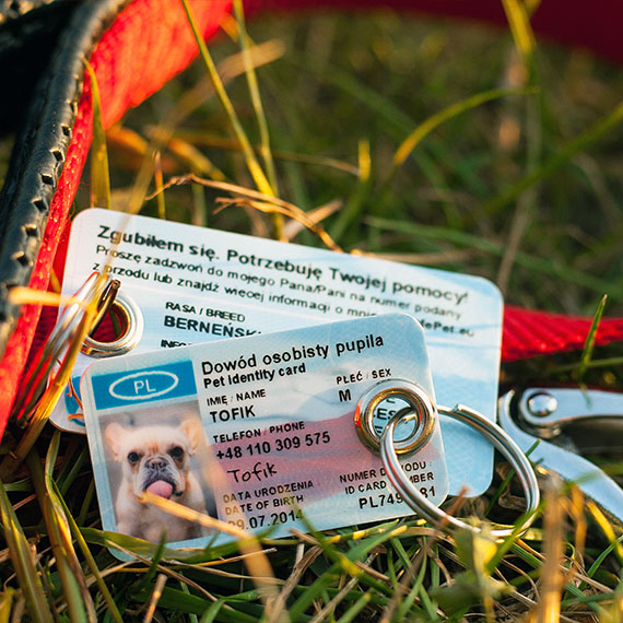 Dowód pupila firmy SafePet - adresówki dla psów i kotów