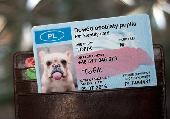 Dowód pupila do portfela firmy SafePet dla właścicieli psów i kotów