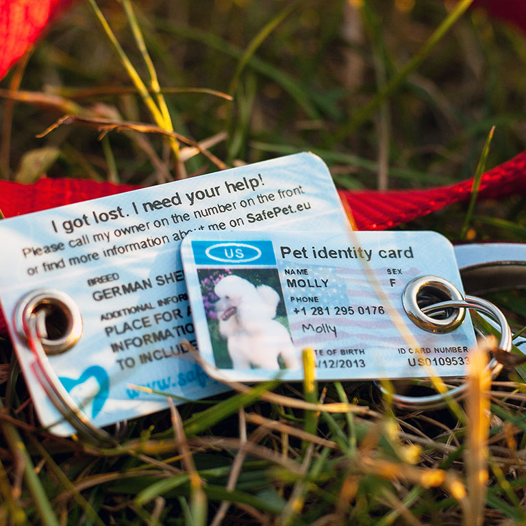 SafePet Personalized Pet ID Tag for dogs and cats