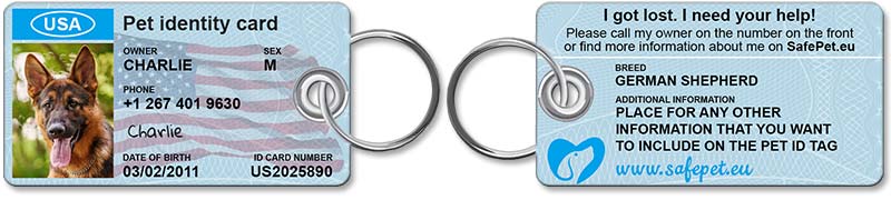 Standard Pet ID Tag - front and back view